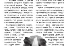 Photo of Советы по уходу за грызунами