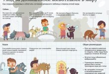 Photo of Советы по уходу за экзотическими животными