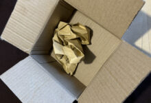 Photo of Игры для развития интеллекта собаки